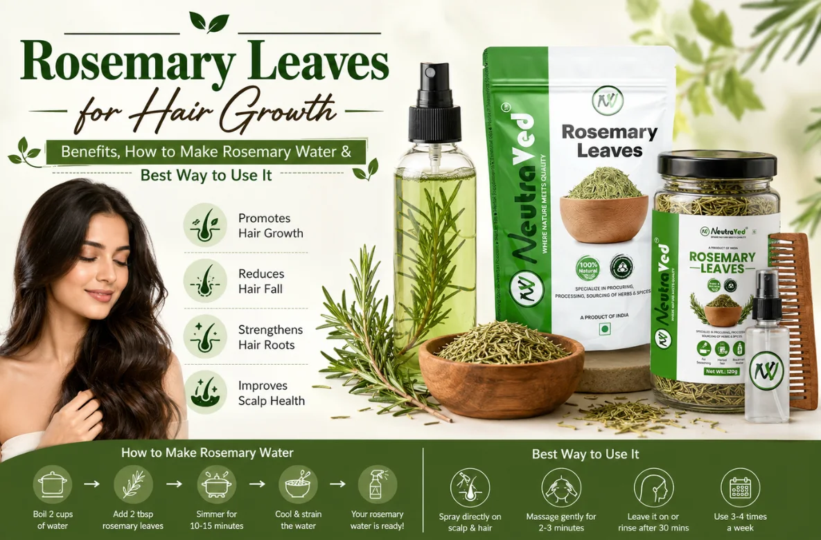 Rosemary Leaves for Hair Growth: Benefits, How to Make Rosemary Water & Best Way to Use It