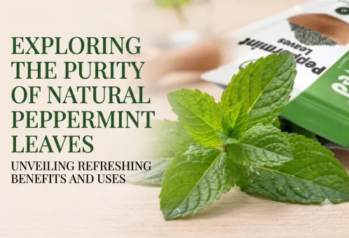 The Refreshing Detox: How Peppermint Leaves Cure Bloating, Aid Weight Loss, and Clear Acne Naturally