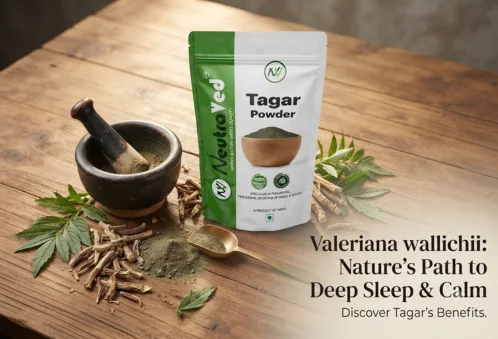 Tagar Powder Benefits, Uses & How to Use (Valeriana wallichii)