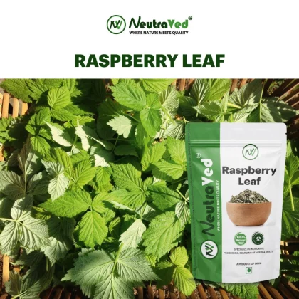Raspberry Leaf image 2