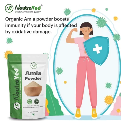 Natural Amla Powder image 2