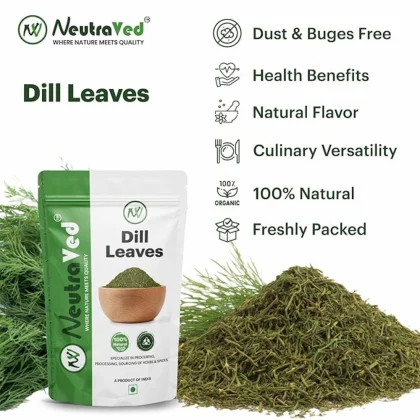 Dill Leaves image 4