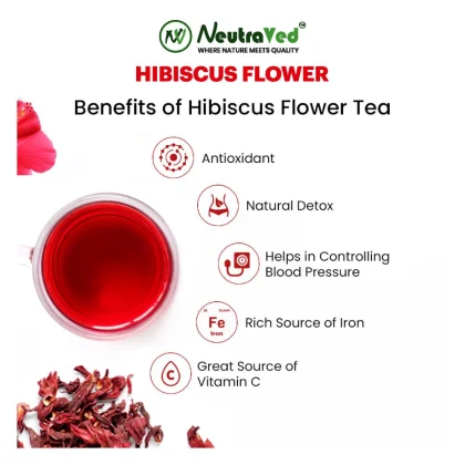 Hibiscus Flower image 3