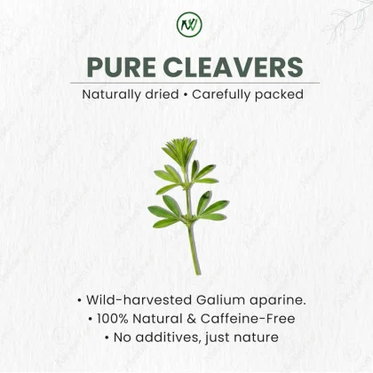 NeutraVed Cleavers Leaves image 5
