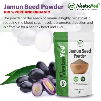 Jamun Seed Powder image 2