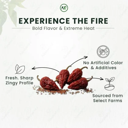 Bhut Jolokia Whole Dried Chilli image 3