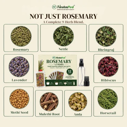 NeutraVed Rosemary &amp; 8 Herbs Hair Water Brew, 12 Sachets with Spray Bottle image 6