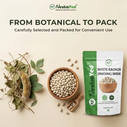 NeutraVed Kaunch Seed White Beej Safed | Mucuna Pruriens image 5