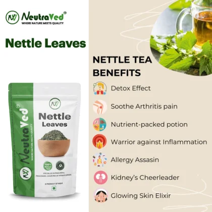 Nettle Leaf image 3