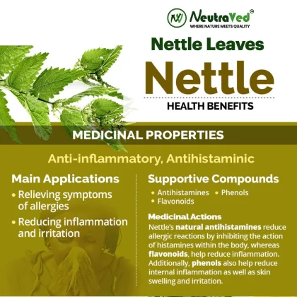 Nettle Leaf image 4