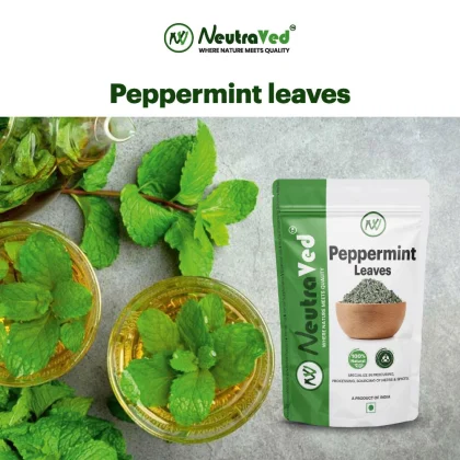 Peppermint Leaves image 2