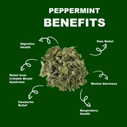 Peppermint Leaves image 4