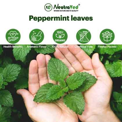 Peppermint Leaves image 6