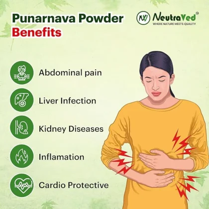 Punarnava Powder image 2