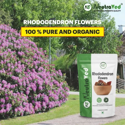 Rhododendron Flowers image 2