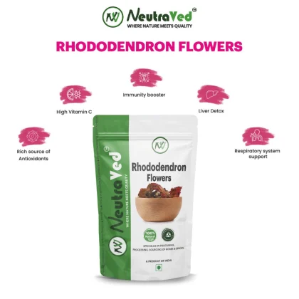Rhododendron Flowers image 3