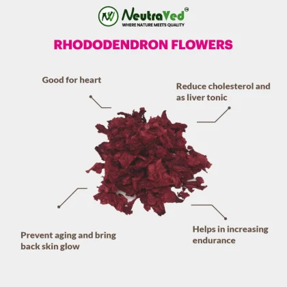 Rhododendron Flowers image 4