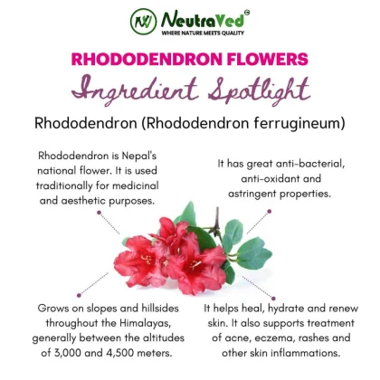 Rhododendron Flowers image 5