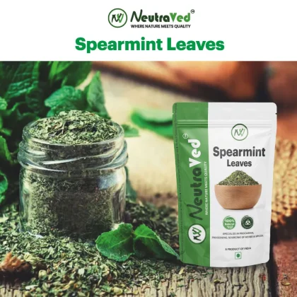 Spearmint Leaves image 2