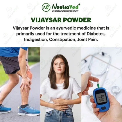 Vijaysar Powder image 3