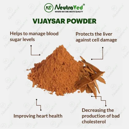 Vijaysar Powder image 5