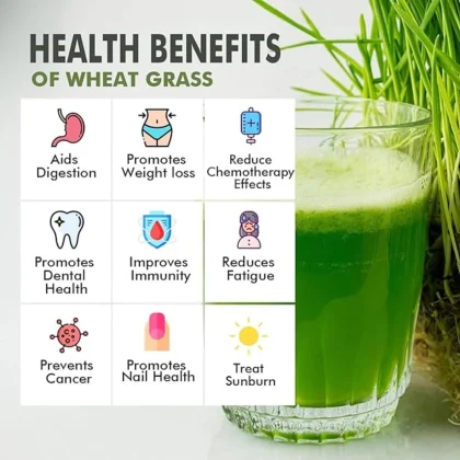 Wheatgrass Powder image 4