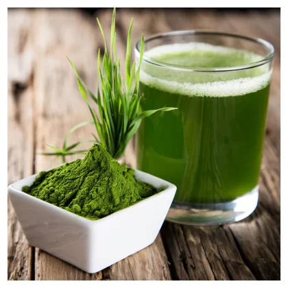 Wheatgrass Powder image 5